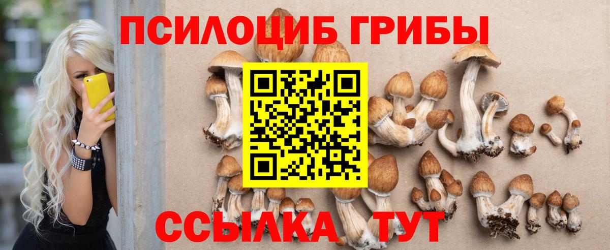 Дмитров  Псилоцибиновые грибы ЛСД  Вход с VPN 