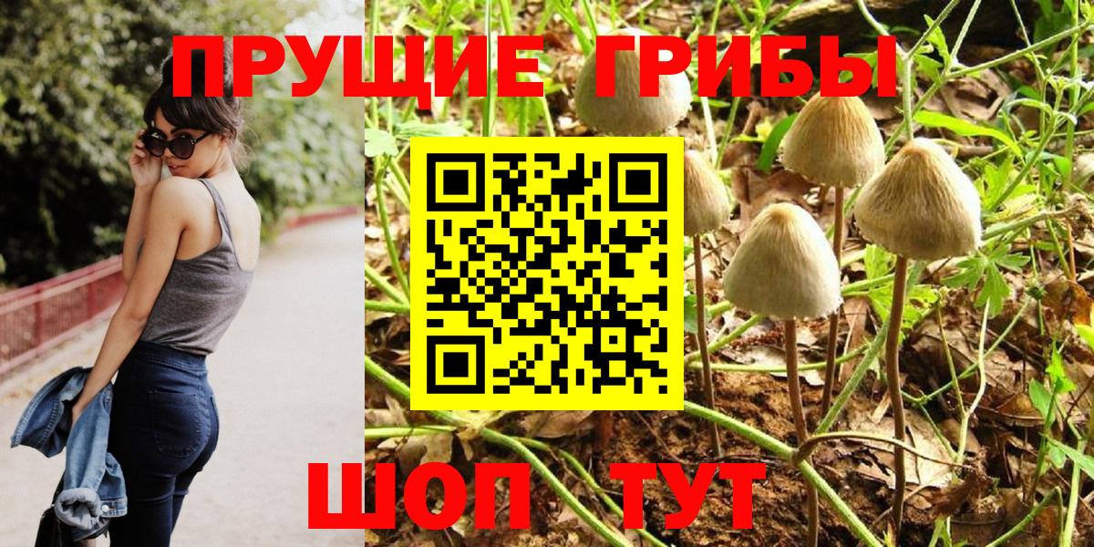 Псилоцибиновые грибы Psilocybe Дмитров
